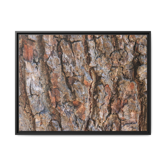 Tree's Timeworn Tale - Unique Stretched Canvas Wall Art