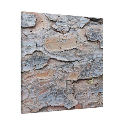 Textural Geology - Unique Frameless Canvas Wall Art