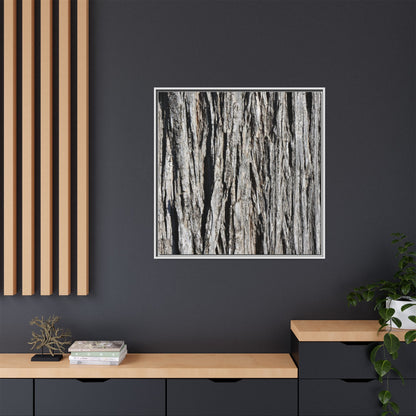 Nature's Abstract - Unique Stretched Canvas Wall Art