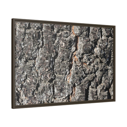 Aged Beauty - Unique Stretched Canvas Wall Art
