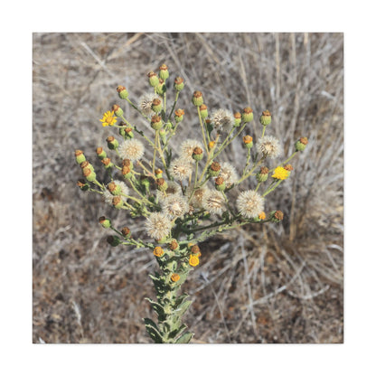 Whispers of the Dry Meadow - Unique Stretched Canvas Wall Art - Art By Earth