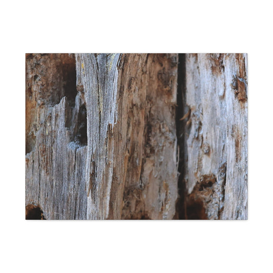 Timber Tapestry - Unique Frameless Canvas Wall Art