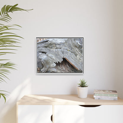 Driftwood Dreams - Unique Stretched Canvas Wall Art