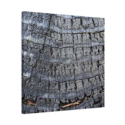Whispers of Age - Unique Frameless Canvas Wall Art