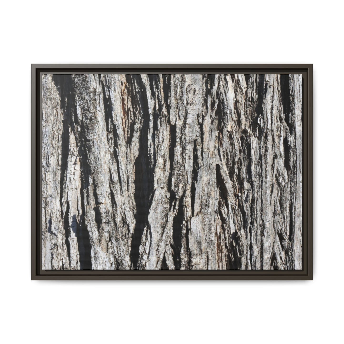 Bark Lines - Unique Stretched Canvas Wall Art