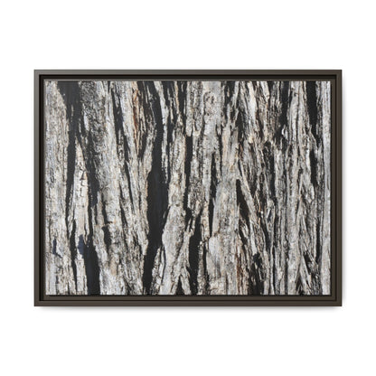 Bark Lines - Unique Stretched Canvas Wall Art
