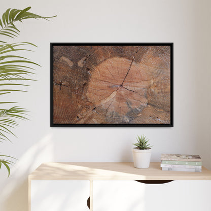 Concentric Memories - Unique Stretched Canvas Wall Art
