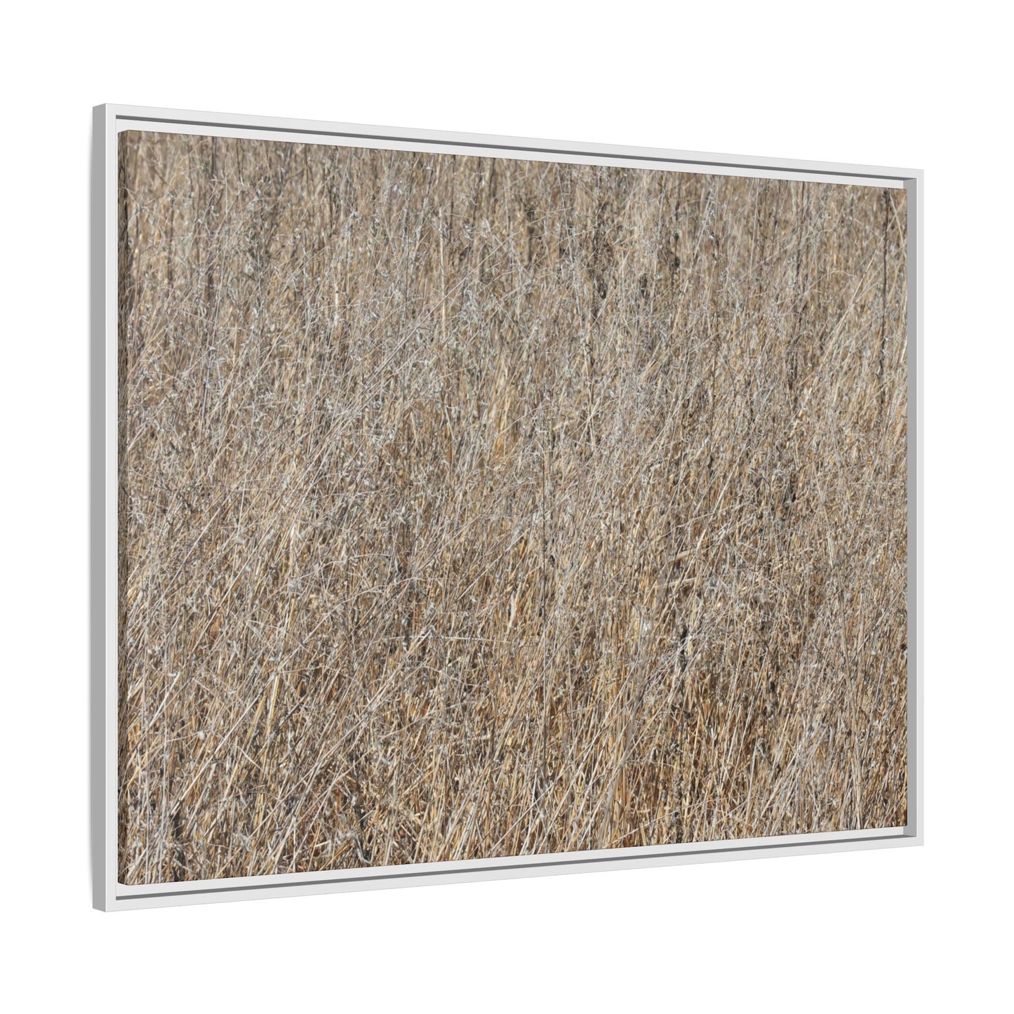 Whispers of Straw - Unique Stretched Canvas Wall Art - Art By Earth