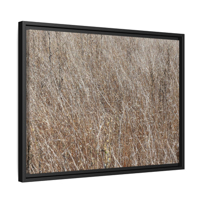 Dry Grass Symphony - Unique Stretched Canvas Wall Art - Art By Earth