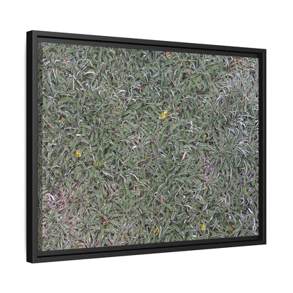 Grassy Texture - Unique Stretched Canvas Wall Art