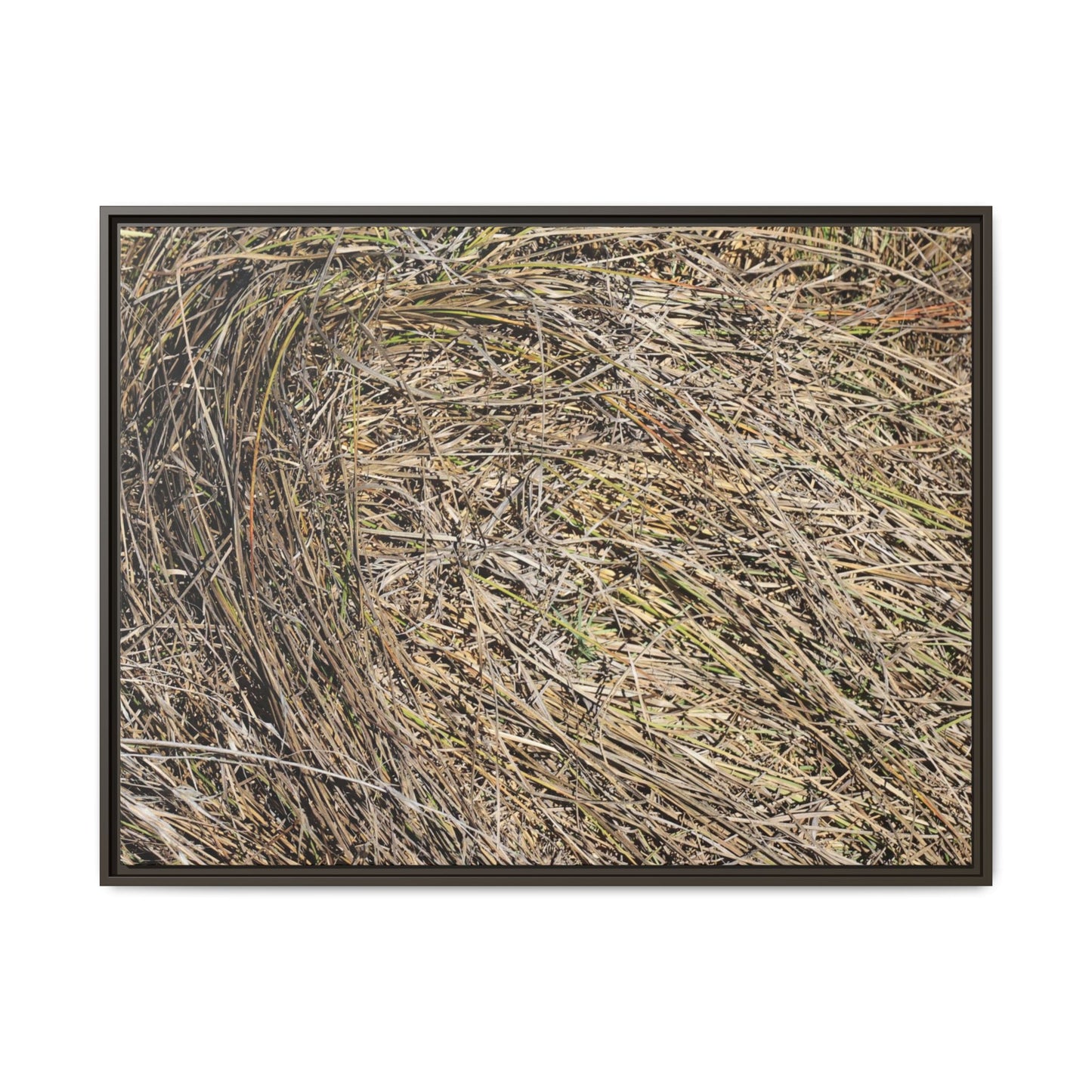 Tangled Grass Symphony - Unique Stretched Canvas Wall Art - Art By Earth