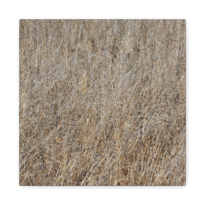Silent Prairie - Unique Frameless Canvas Wall Art - Art By Earth