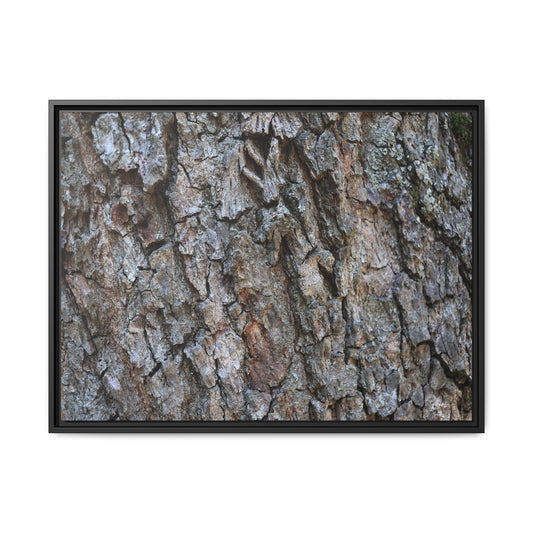 Woodland Skin - Unique Stretched Canvas Wall Art
