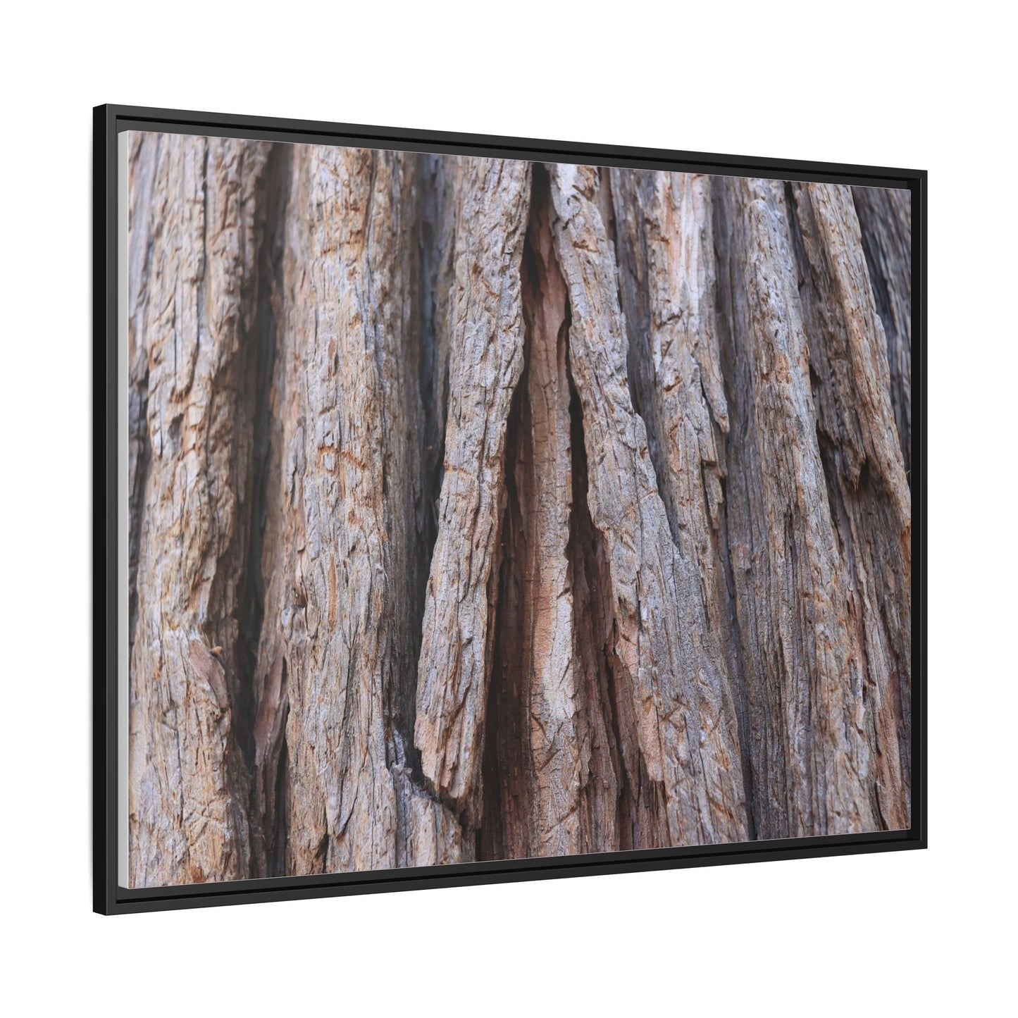 Nature's Sculpture - Unique Stretched Canvas Wall Art