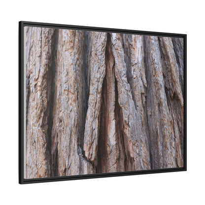 Nature's Sculpture - Unique Stretched Canvas Wall Art