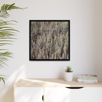 Sage Fields Forever - Unique Stretched Canvas Wall Art - Art By Earth