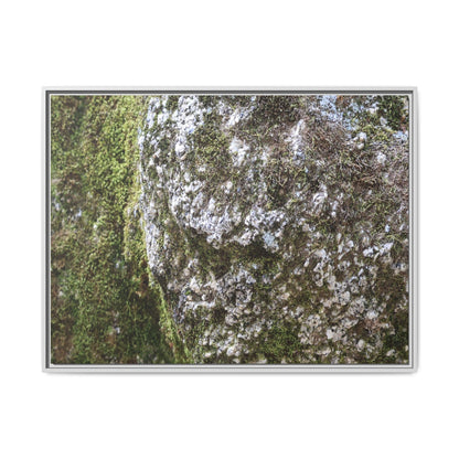 Lichen Landscape - Unique Stretched Canvas Wall Art