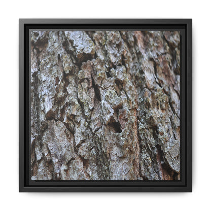 Woodland Canvas - Unique Stretched Canvas Wall Art