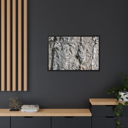 Crusty Exterior - Unique Stretched Canvas Wall Art