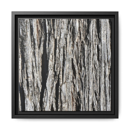 Nature's Abstract - Unique Stretched Canvas Wall Art