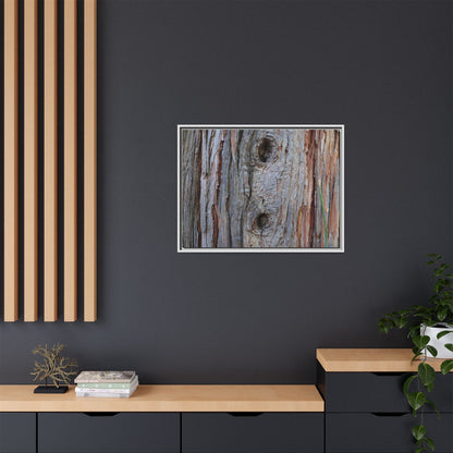 Knotty Nature - Unique Stretched Canvas Wall Art