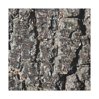 Cracked Skin of Earth - Unique Frameless Canvas Wall Art