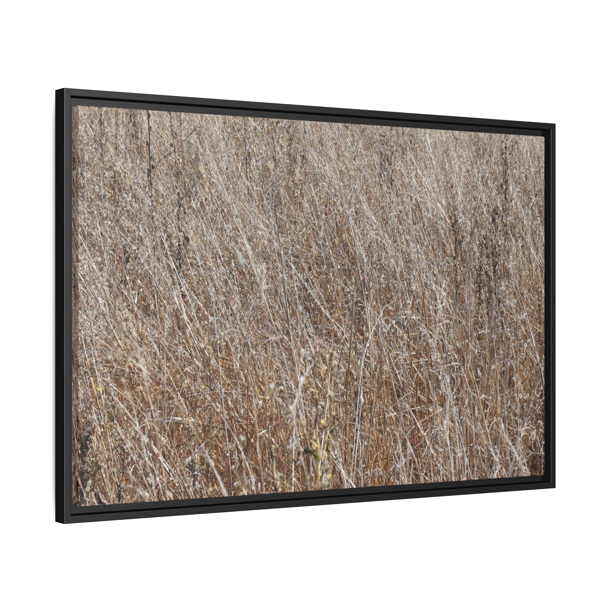 Whispers of Autumn - Unique Stretched Canvas Wall Art - Art By Earth