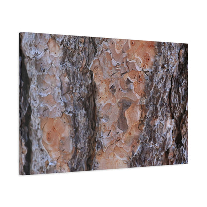 Terracotta Textures - Unique Frameless Canvas Wall Art