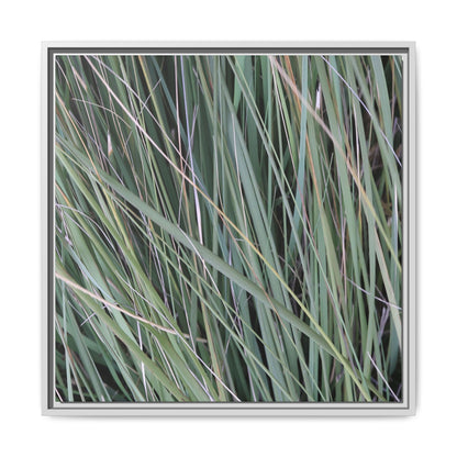 Grassland Symphony - Unique Stretched Canvas Wall Art
