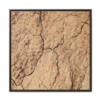Parched Land - Unique Stretched Canvas Wall Art