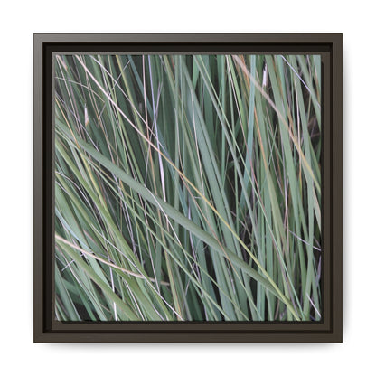 Grassland Symphony - Unique Stretched Canvas Wall Art