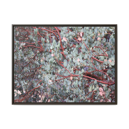 Whispers of Sage - Unique Stretched Canvas Wall Art
