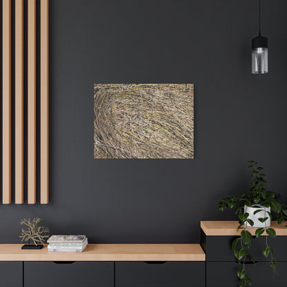 Tangled Hay - Unique Stretched Canvas Wall Art - Art By Earth