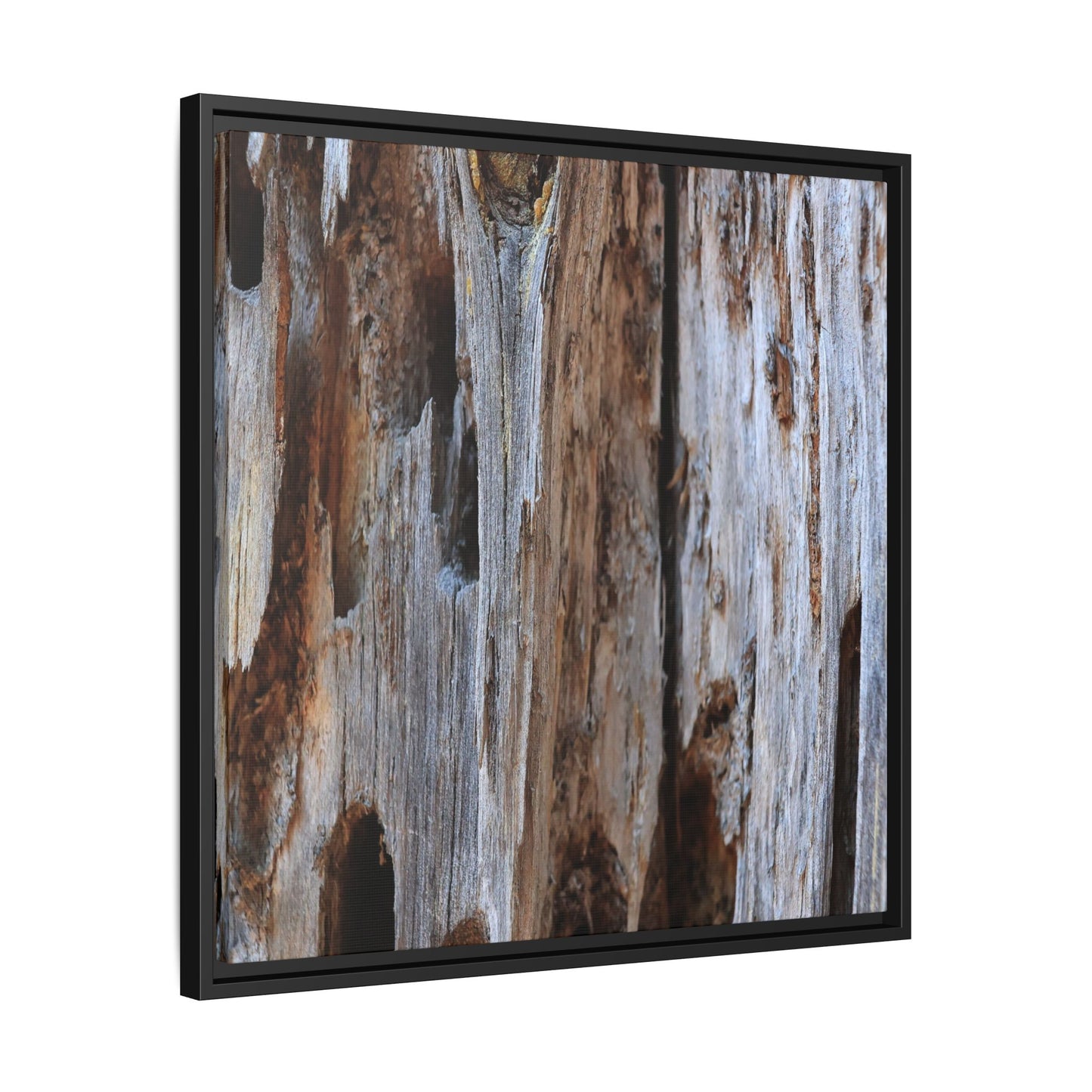 Decaying Splendor - Unique Stretched Canvas Wall Art