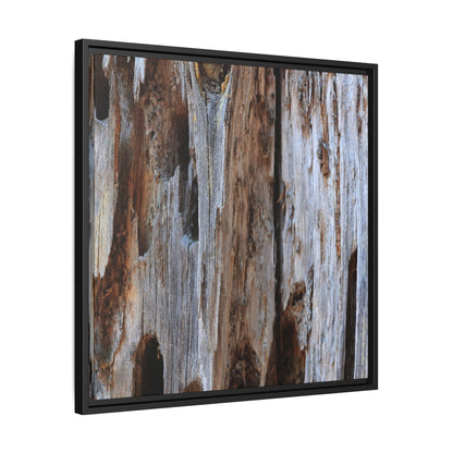 Decaying Splendor - Unique Stretched Canvas Wall Art