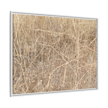 Golden Stalks - Unique Stretched Canvas Wall Art