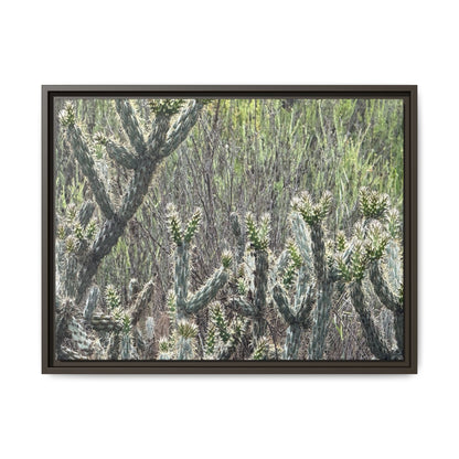 Prickly Paradise - Unique Stretched Canvas Wall Art