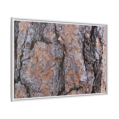 Tree Skin Symphony - Unique Stretched Canvas Wall Art