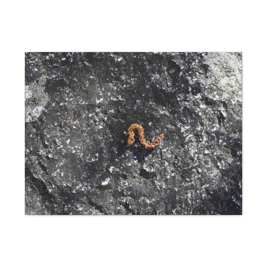Earthen Serpent - Unique Frameless Canvas Wall Art
