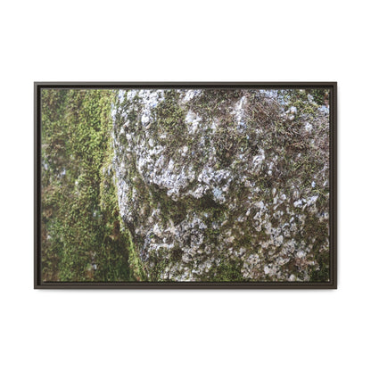 Lichen Landscape - Unique Stretched Canvas Wall Art