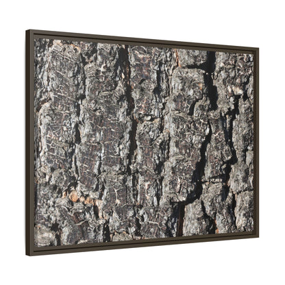 Bark Study in Gray - Unique Stretched Canvas Wall Art