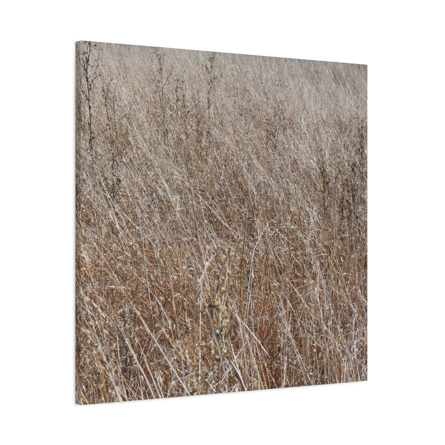 Whispers of Autumn - Unique Frameless Canvas Wall Art - Art By Earth