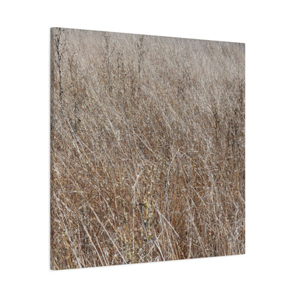 Whispers of Autumn - Unique Frameless Canvas Wall Art - Art By Earth
