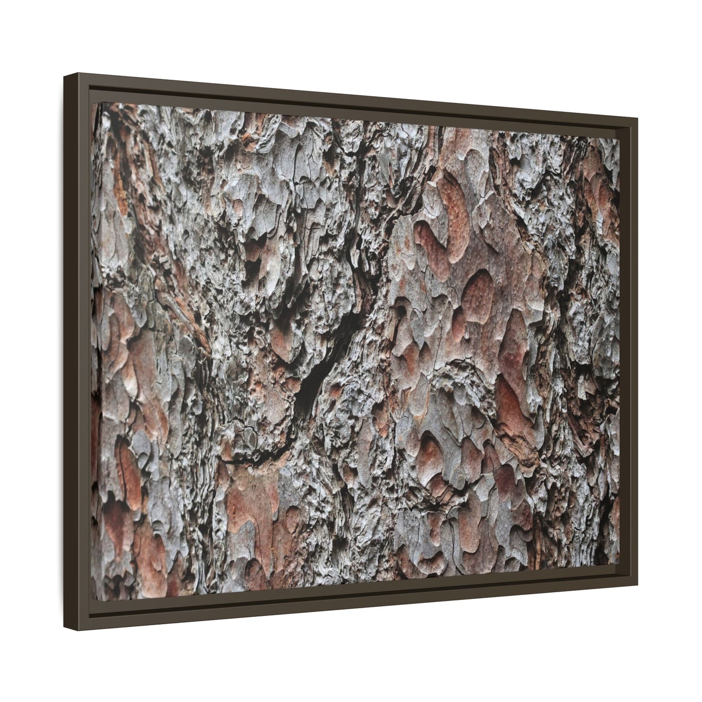 Bark Texture Symphony - Unique Stretched Canvas Wall Art