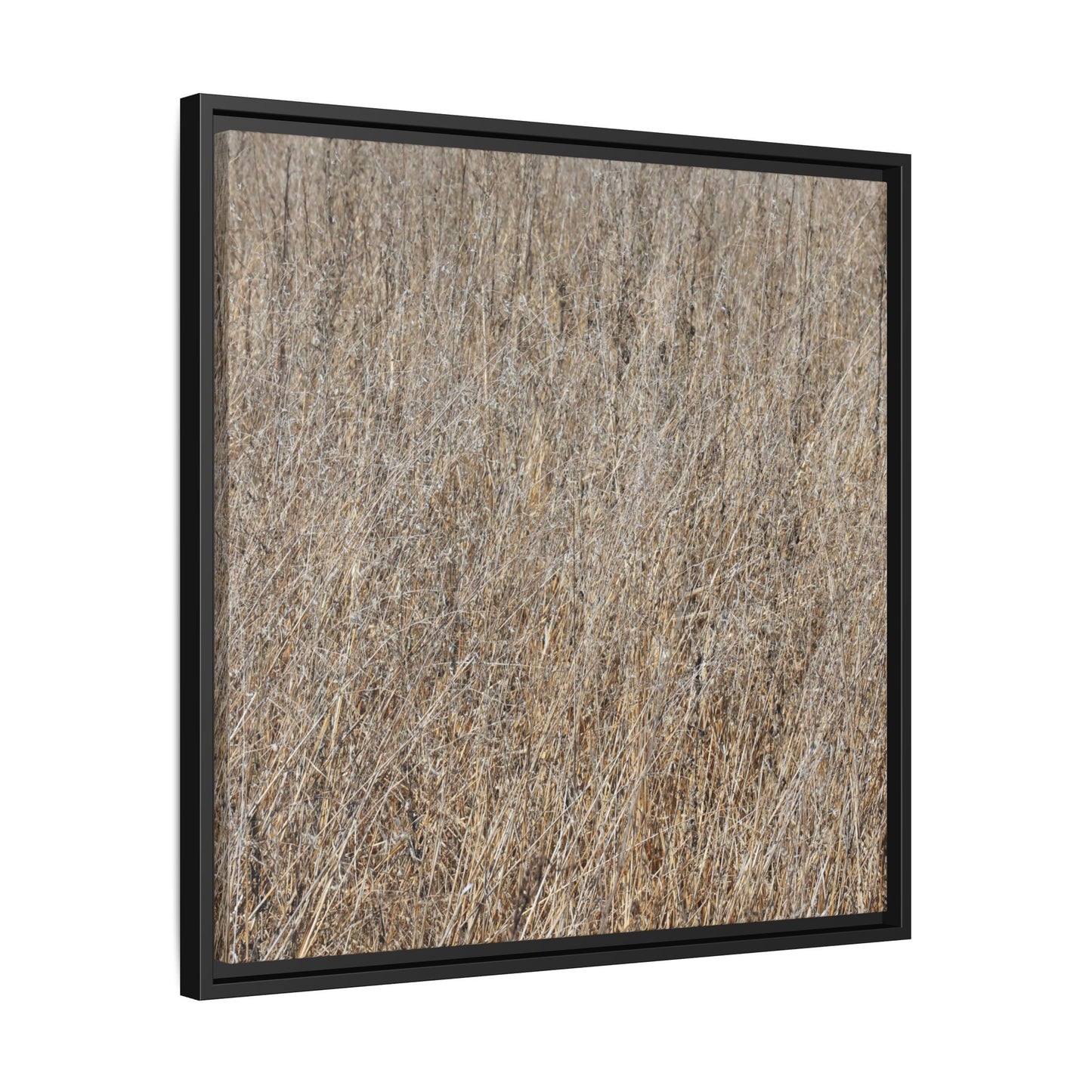 Dry Straw Symphony - Unique Stretched Canvas Wall Art - Art By Earth
