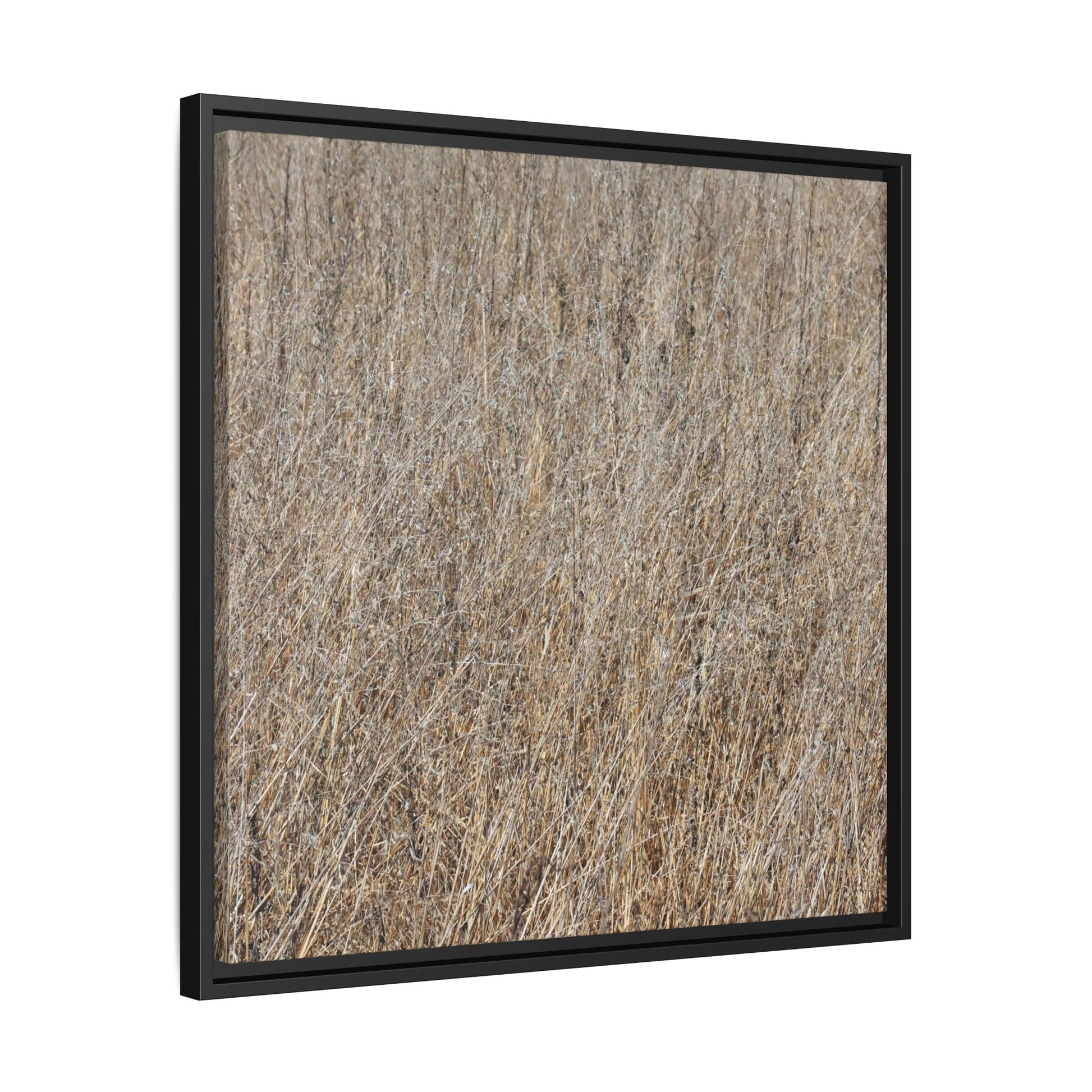 Dry Straw Symphony - Unique Stretched Canvas Wall Art - Art By Earth