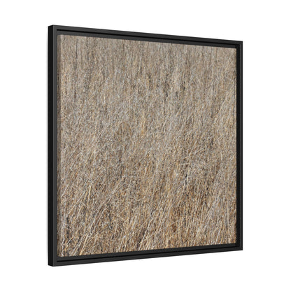 Dry Straw Symphony - Unique Stretched Canvas Wall Art - Art By Earth