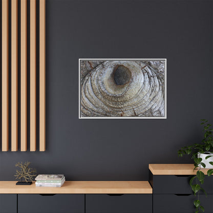 Echoes of Time - Unique Stretched Canvas Wall Art