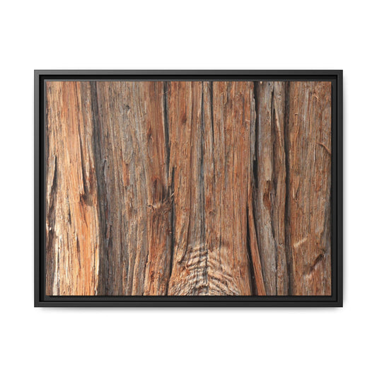 Echoes of Timber - Unique Stretched Canvas Wall Art