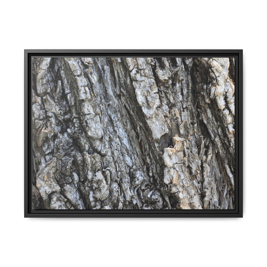 Twisted Textures - Unique Stretched Canvas Wall Art
